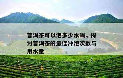 普洱茶可以泡多少水喝，探讨普洱茶的更佳冲泡次数与用水量