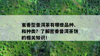 蜜香型普洱茶有哪些品种、和种类？了解密香普洱茶饼的相关知识！