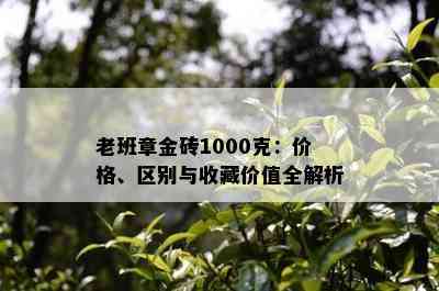 老班章金砖1000克：价格、区别与收藏价值全解析