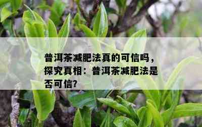 普洱茶减肥法真的可信吗，探究真相：普洱茶减肥法是否可信？