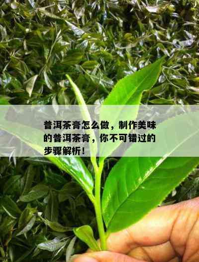 普洱茶膏怎么做，制作美味的普洱茶膏，你不可错过的步骤解析！