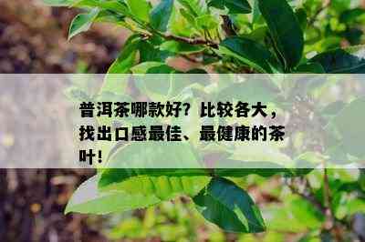 普洱茶哪款好？比较各大，找出口感更佳、最健康的茶叶！