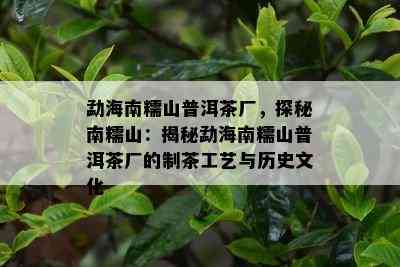 勐海南糯山普洱茶厂，探秘南糯山：揭秘勐海南糯山普洱茶厂的制茶工艺与历史文化