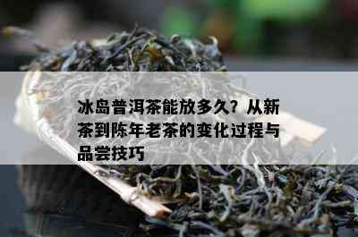 冰岛普洱茶能放多久？从新茶到陈年老茶的变化过程与品尝技巧