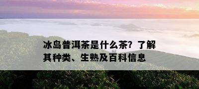 冰岛普洱茶是什么茶？了解其种类、生熟及百科信息