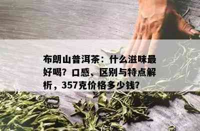 布朗山普洱茶：什么滋味更好喝？口感、区别与特点解析，357克价格多少钱？