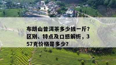 布朗山普洱茶多少钱一斤？区别、特点及口感解析，357克价格是多少？