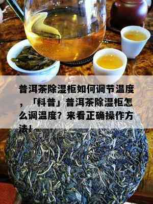 普洱茶除湿柜如何调节温度，「科普」普洱茶除湿柜怎么调温度？来看正确操作方法！