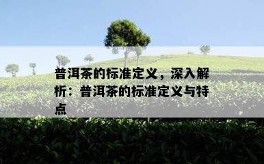 普洱茶的标准定义，深入解析：普洱茶的标准定义与特点