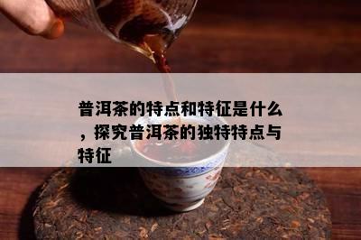 普洱茶的特点和特征是什么，探究普洱茶的独特特点与特征