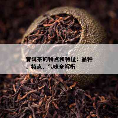 普洱茶的特点和特征：品种、特点、气味全解析