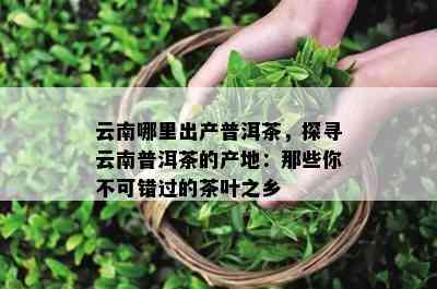 云南哪里出产普洱茶，探寻云南普洱茶的产地：那些你不可错过的茶叶之乡