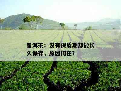 普洱茶：没有保质期却能长久保存，原因何在？