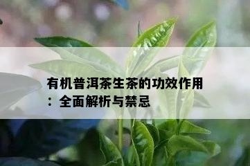 有机普洱茶生茶的功效作用：全面解析与禁忌