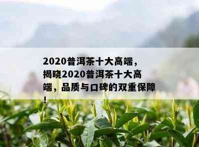 2020普洱茶十大高端，揭晓2020普洱茶十大高端，品质与口碑的双重保障！