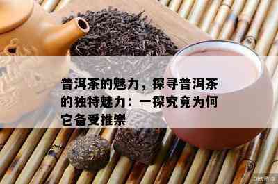 普洱茶的魅力，探寻普洱茶的独特魅力：一探究竟为何它备受推崇