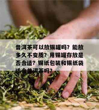 普洱茶可以放锡罐吗？能放多久不变质？用锡罐存放是否合适？锡纸包装和锡纸袋适合普洱茶吗？