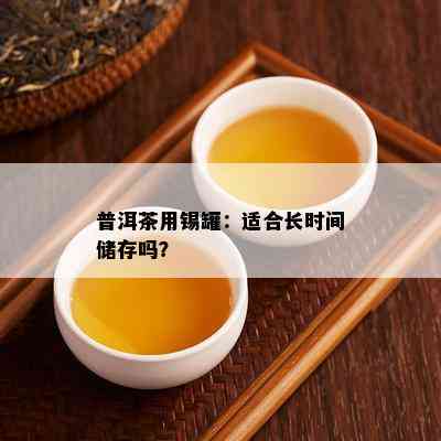 普洱茶用锡罐：适合长时间储存吗？