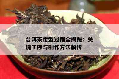 普洱茶定型过程全揭秘：关键工序与制作方法解析