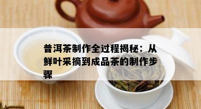 普洱茶制作全过程揭秘：从鲜叶采摘到成品茶的制作步骤