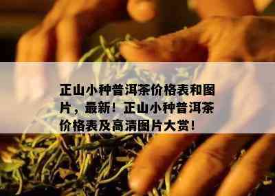 正山小种普洱茶价格表和图片，最新！正山小种普洱茶价格表及高清图片大赏！