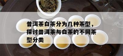 普洱茶白茶分为几种茶型，探讨普洱茶与白茶的不同茶型分类