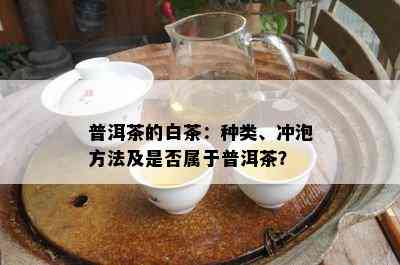 普洱茶的白茶：种类、冲泡方法及是否属于普洱茶？