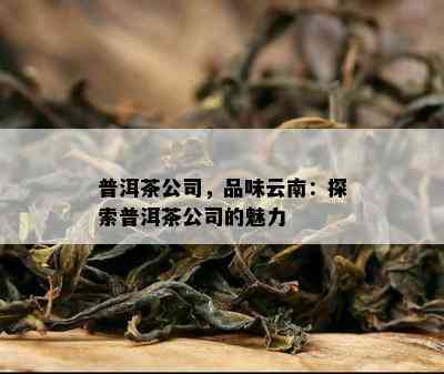 普洱茶公司，品味云南：探索普洱茶公司的魅力