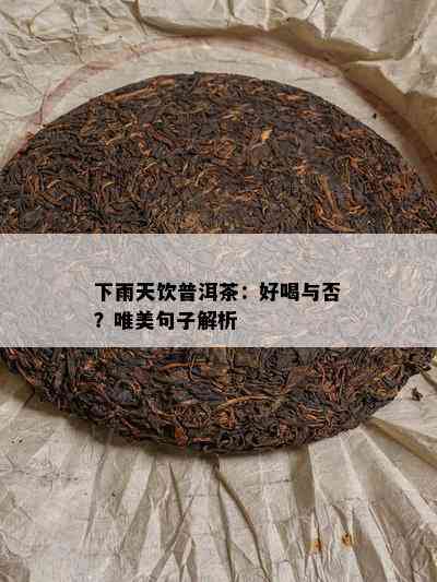 下雨天饮普洱茶：好喝与否？唯美句子解析