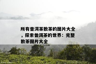 所有普洱茶散茶的图片大全，探索普洱茶的世界：完整散茶图片大全