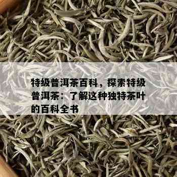 特级普洱茶百科，探索特级普洱茶：了解这种独特茶叶的百科全书