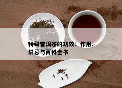 特级普洱茶的功效：作用、禁忌与百科全书