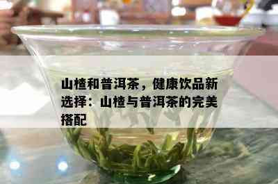 山楂和普洱茶，健康饮品新选择：山楂与普洱茶的完美搭配