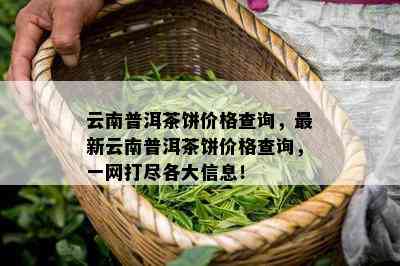 云南普洱茶饼价格查询，最新云南普洱茶饼价格查询，一网打尽各大信息！