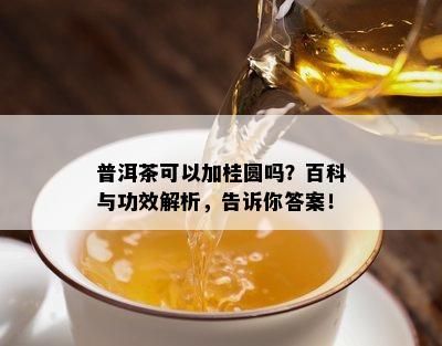 普洱茶可以加桂圆吗？百科与功效解析，告诉你答案！