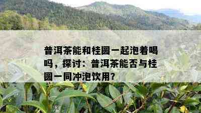 普洱茶能和桂圆一起泡着喝吗，探讨：普洱茶能否与桂圆一同冲泡饮用？