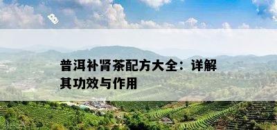 普洱补肾茶配方大全：详解其功效与作用