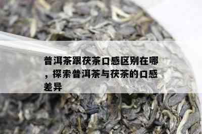 普洱茶跟茯茶口感区别在哪，探索普洱茶与茯茶的口感差异