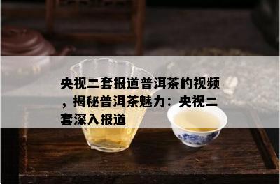 央视二套报道普洱茶的视频，揭秘普洱茶魅力：央视二套深入报道