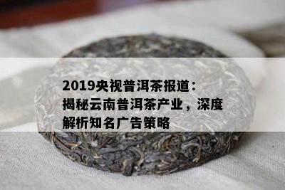 2019央视普洱茶报道：揭秘云南普洱茶产业，深度解析知名广告策略