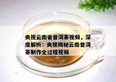 央视云南省普洱茶视频，深度解析：央视揭秘云南普洱茶制作全过程视频