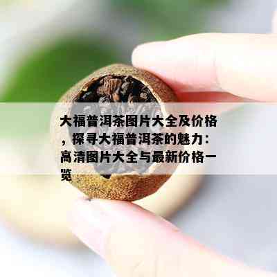 大福普洱茶图片大全及价格，探寻大福普洱茶的魅力：高清图片大全与最新价格一览