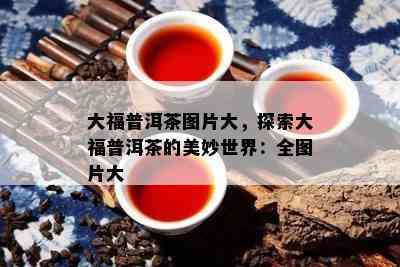 大福普洱茶图片大，探索大福普洱茶的美妙世界：全图片大