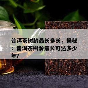 普洱茶树龄最长多长，揭秘：普洱茶树龄最长可达多少年？