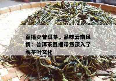 直播卖普洱茶，品味云南风情：普洱茶直播带您深入了解茶叶文化