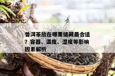 普洱茶放在哪里储藏最合适？容器、温度、湿度等影响因素解析