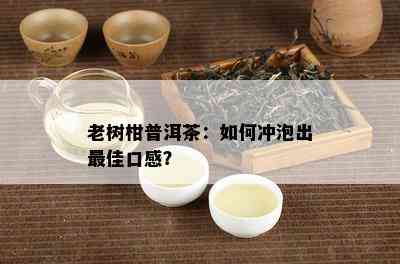 老树柑普洱茶：如何冲泡出更佳口感？