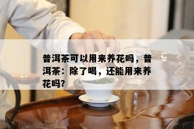 普洱茶可以用来养花吗，普洱茶：除了喝，还能用来养花吗？