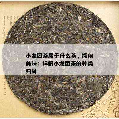 小龙团茶属于什么茶，探秘美味：详解小龙团茶的种类归属