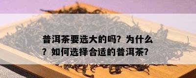 普洱茶要选大的吗？为什么？如何选择合适的普洱茶？